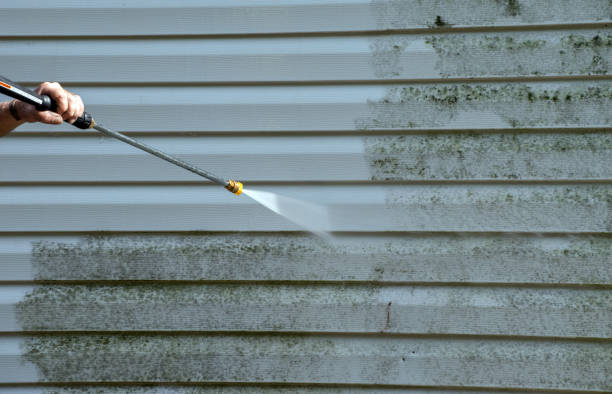 Best Sidewalk Pressure Washing  in Hughesville, MD